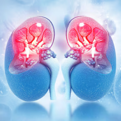Kidney & Urogenital Disorders